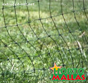 poultry net installed on garden
