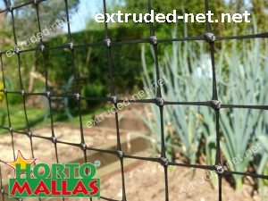 poultry net used for protection of chickens
